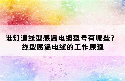 谁知道线型感温电缆型号有哪些？ 线型感温电缆的工作原理